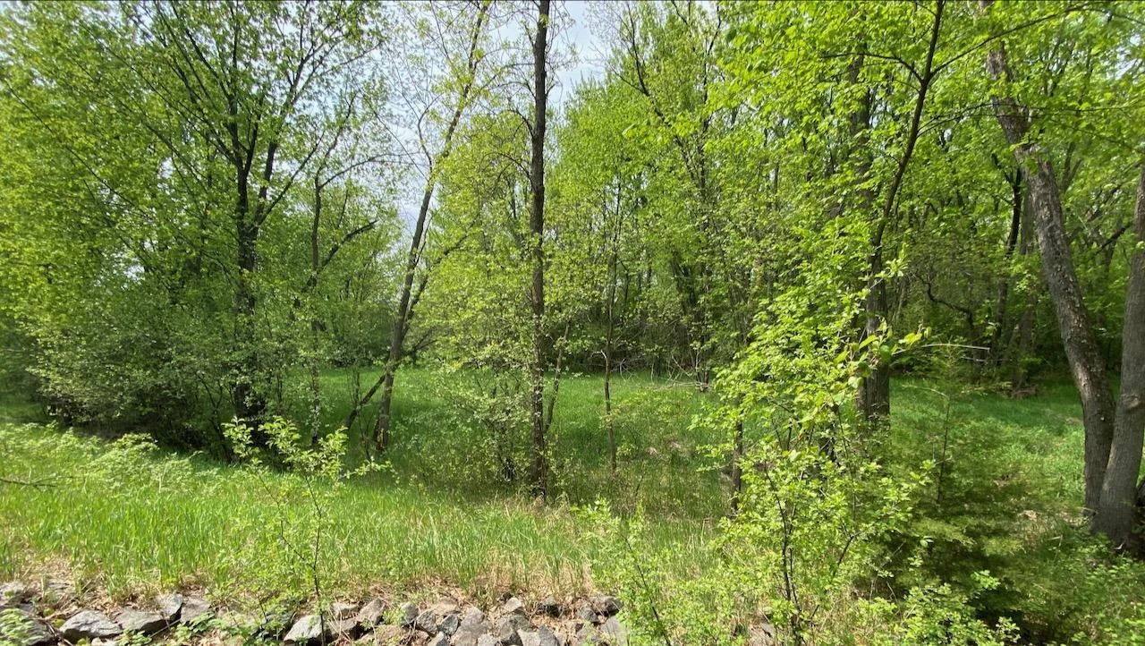 Zone 4, picture taken from back border of Vacant Lot 2 on Pine St.