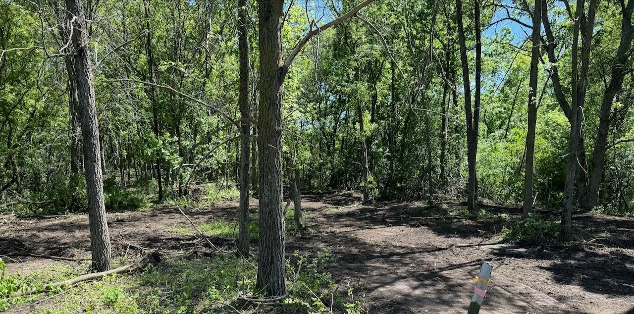 Zone 3 is cleared and ready to build.