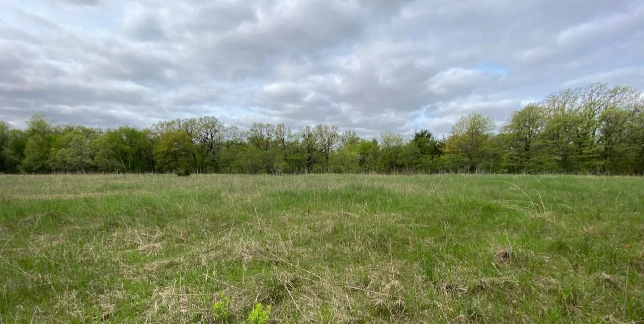 Zone 4 Upland