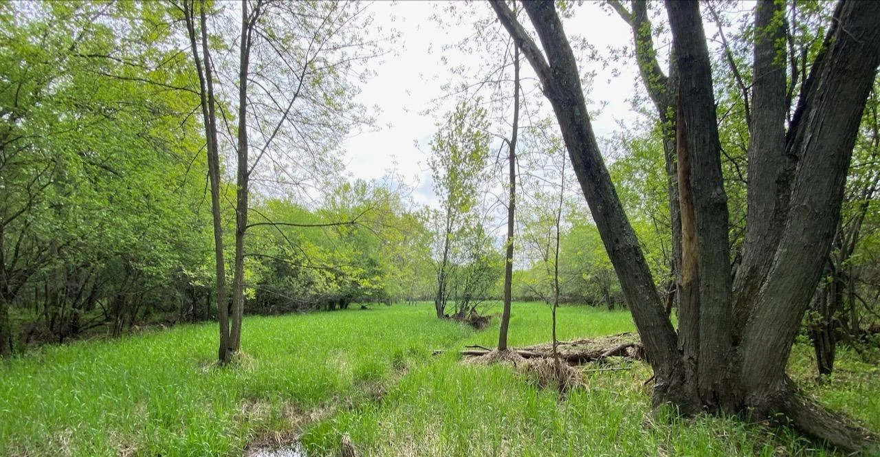 Beauty and nature abounds, Lowland pictures of Zone 4