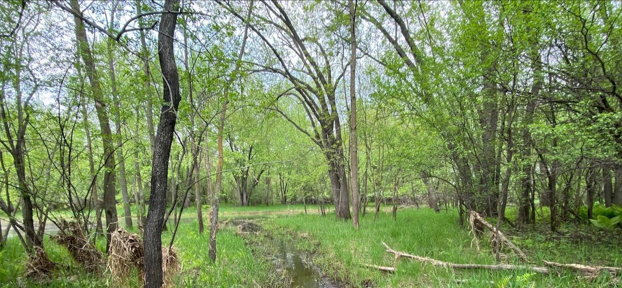 This is a natural, untouched piece of land. Many management improvements can be made...