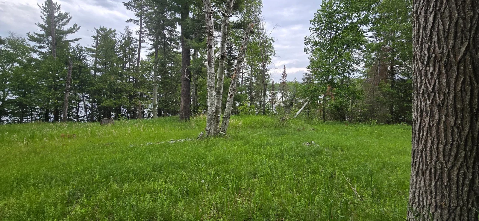 20250616_091404.jpg