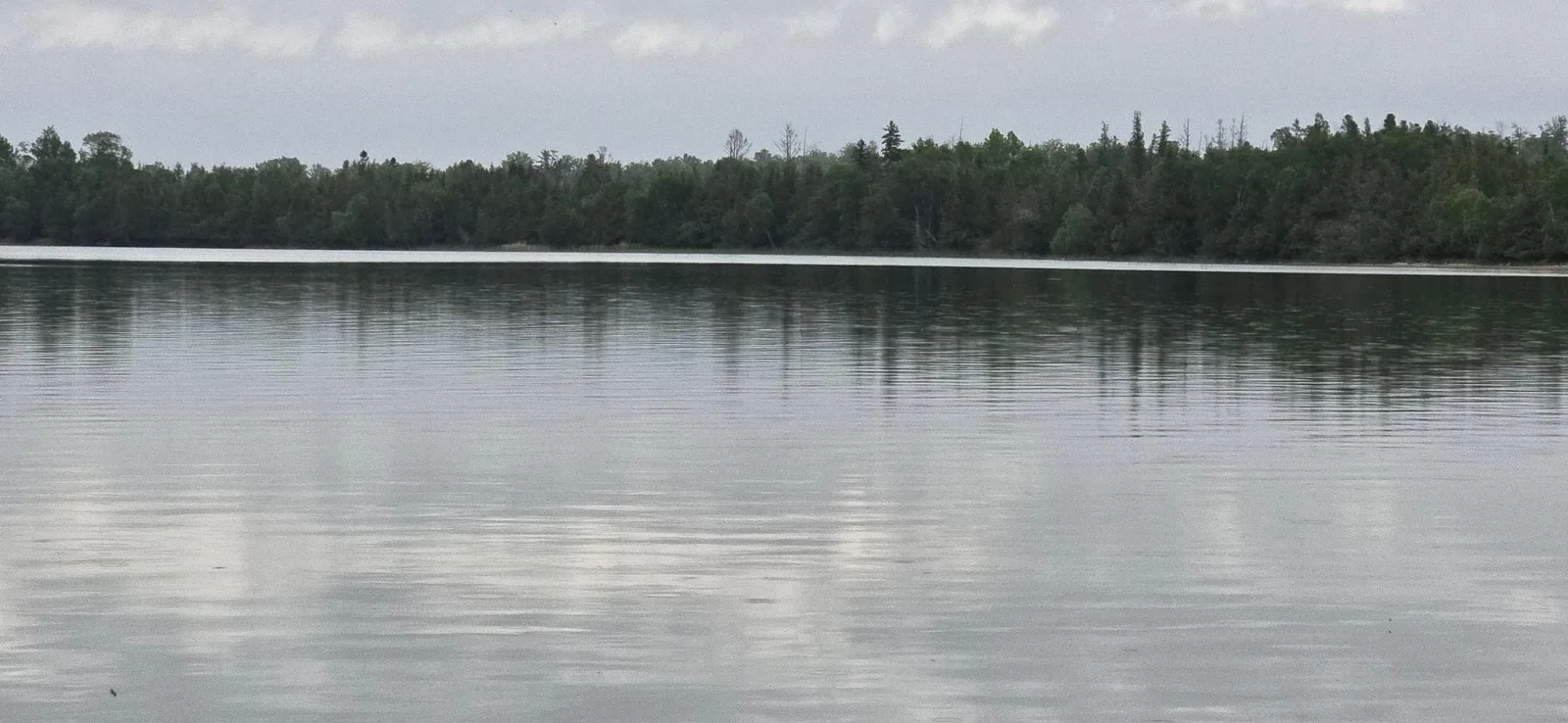 20250616_091848.jpg