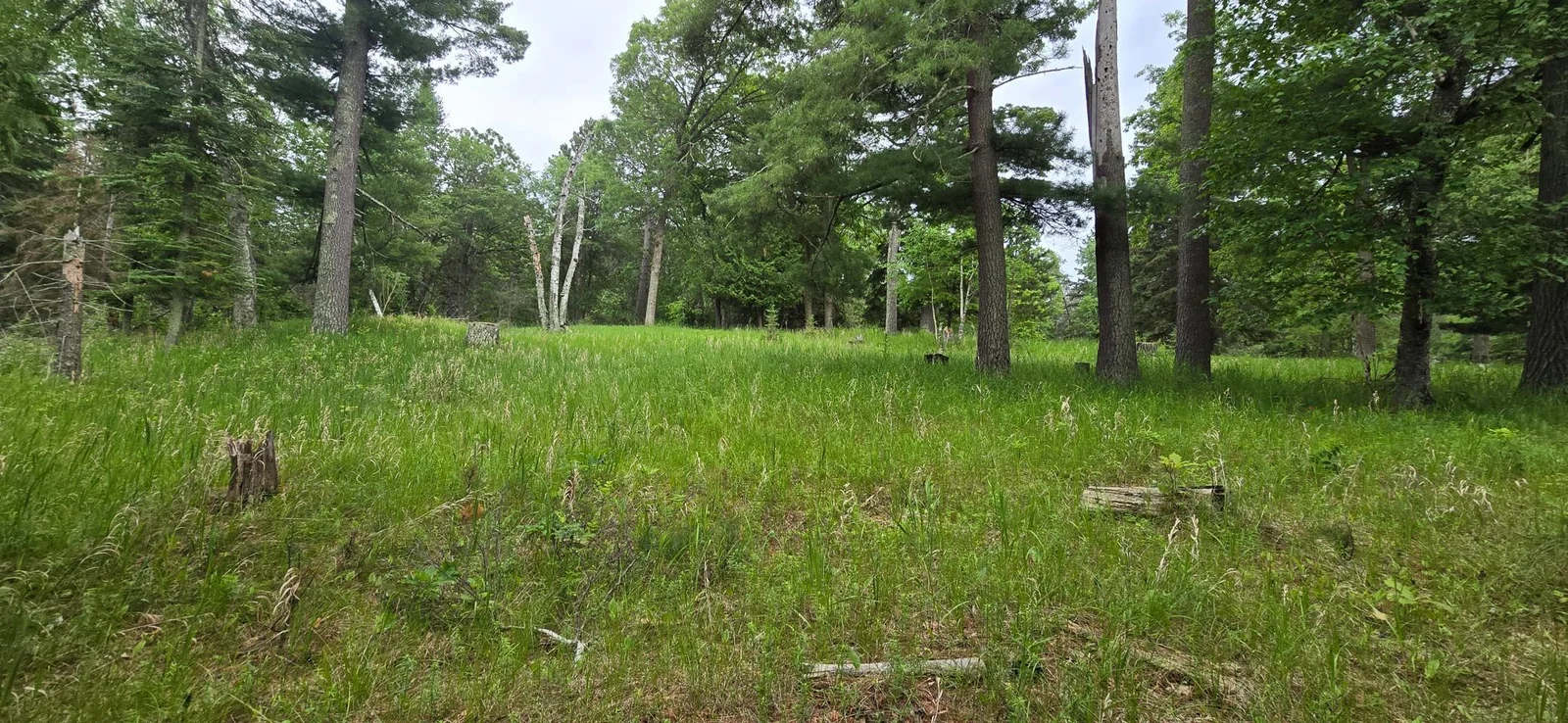20250616_091609.jpg