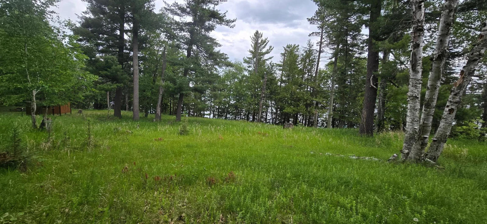 20250616_091407.jpg