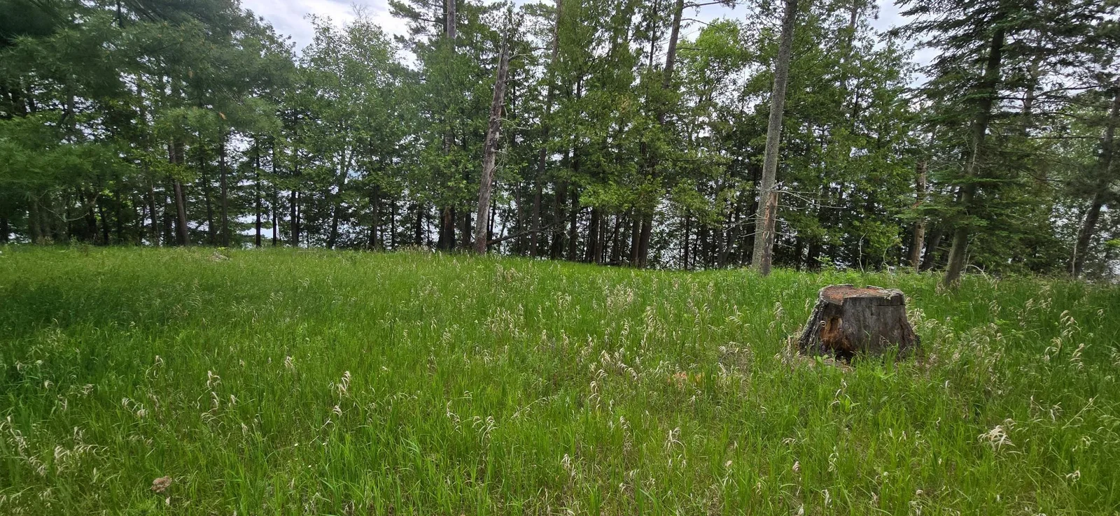20250616_091437.jpg