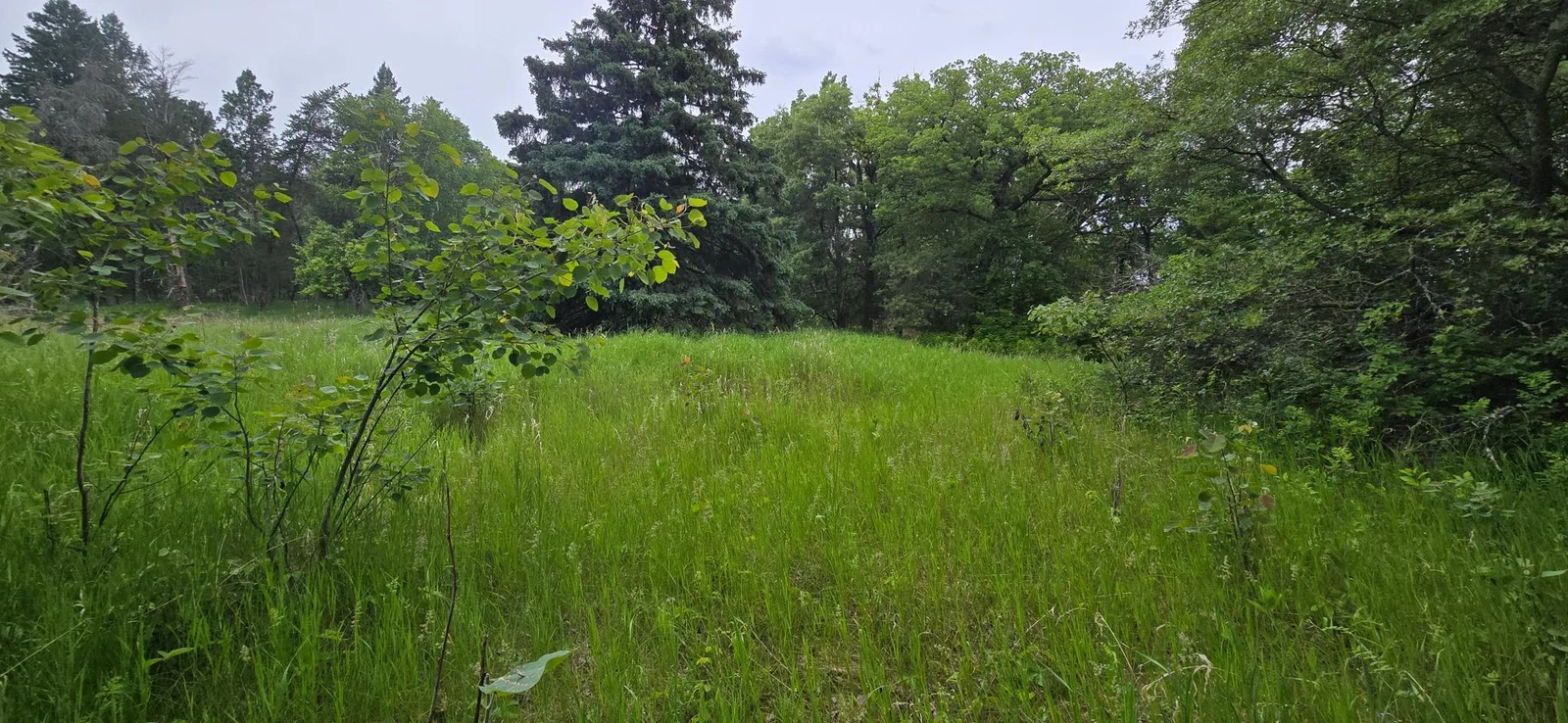 20250616_092846.jpg