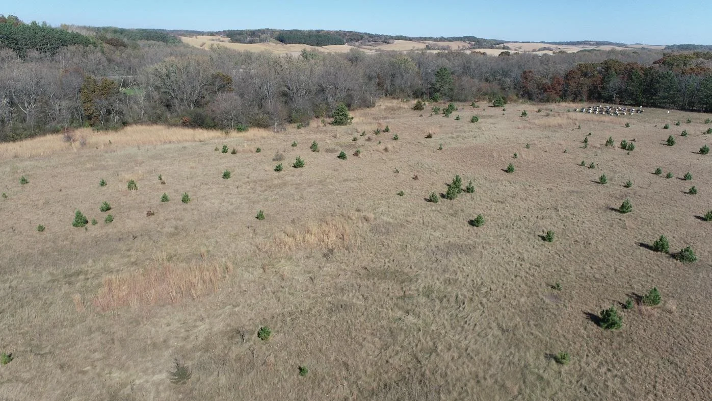 DJI_0125.JPG