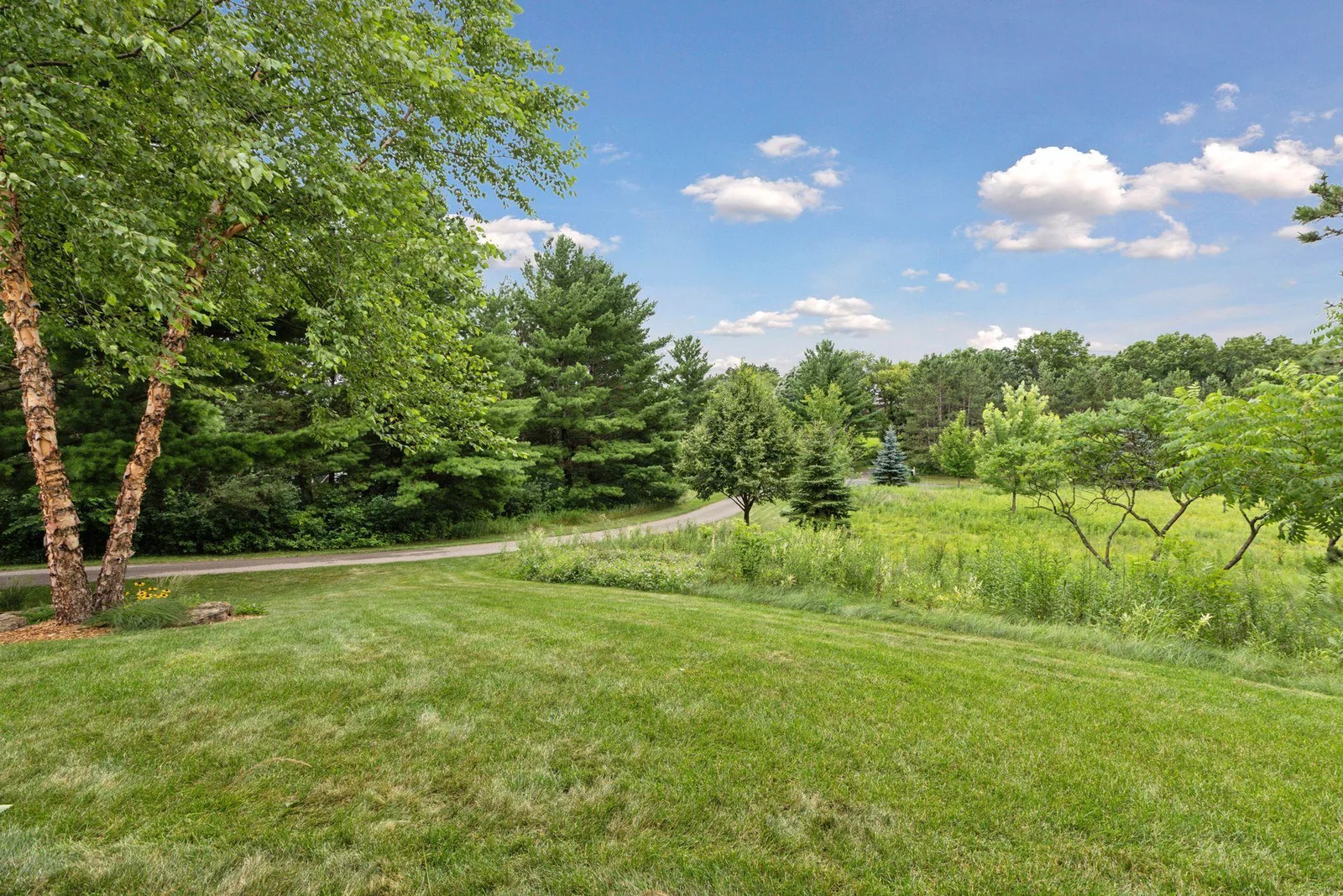 A look at the expansive front yard, framed by wildflowers, mature trees, and natural beauty all around.