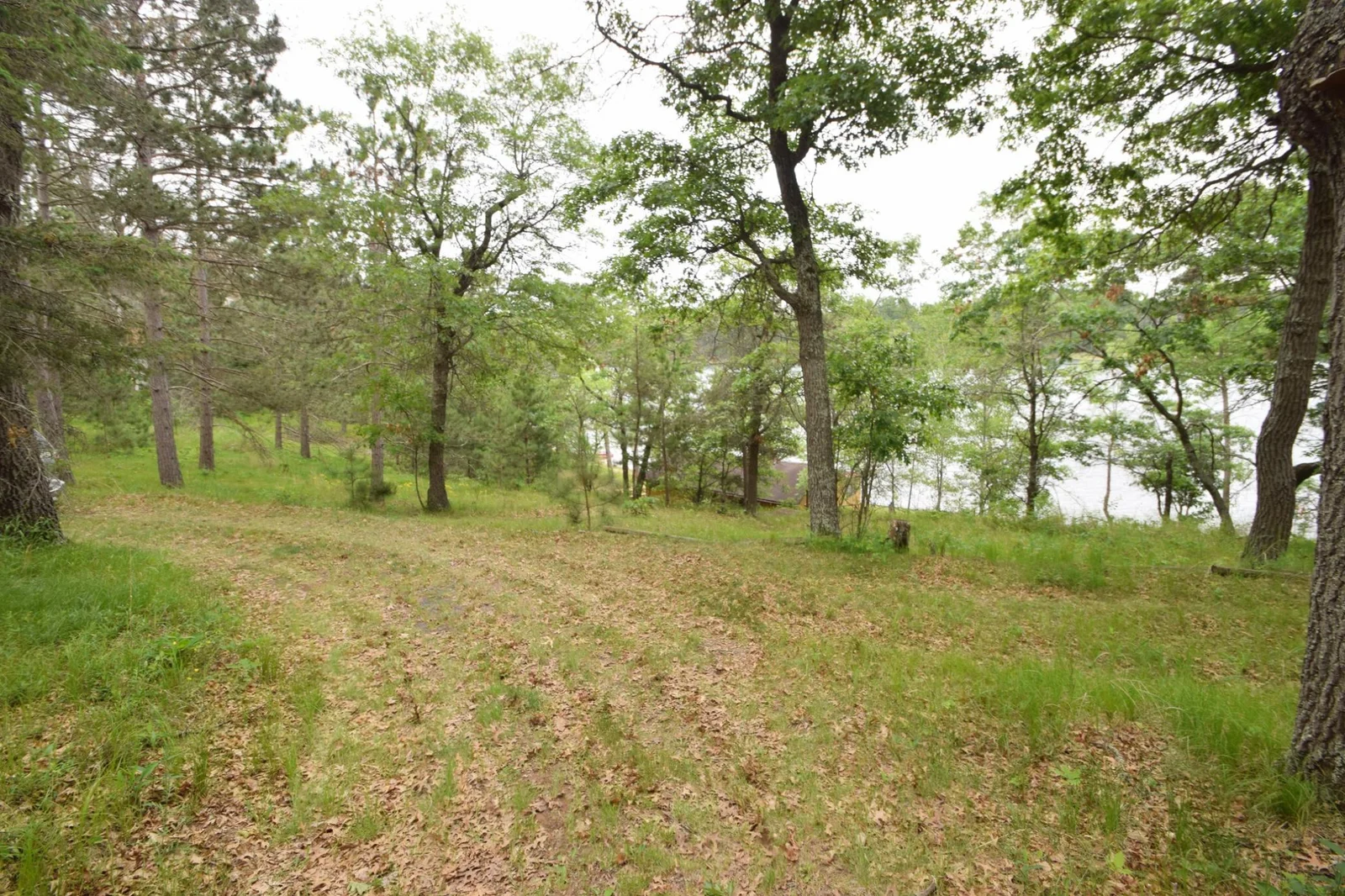DSC_0151.JPG