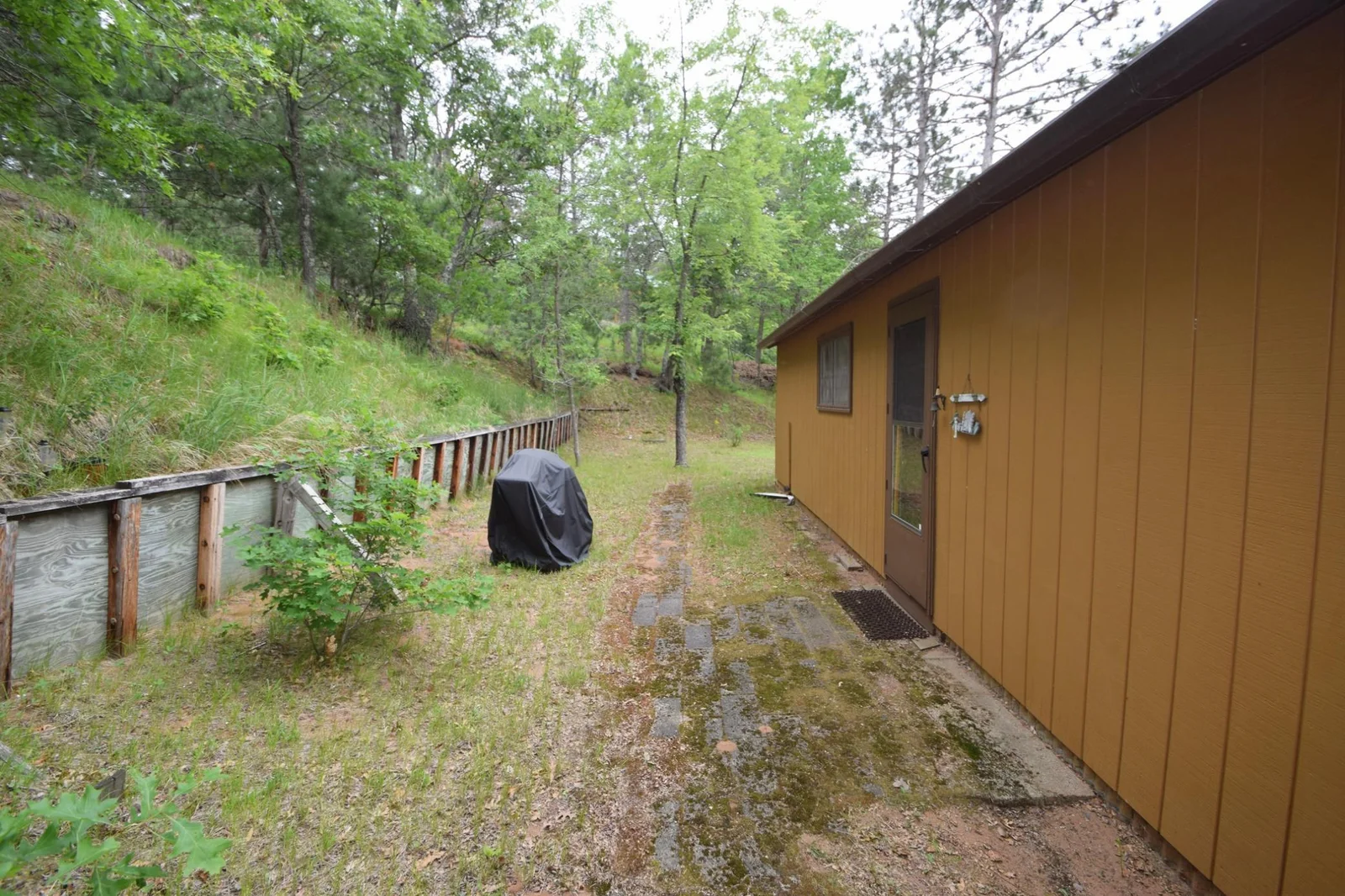 DSC_0135.JPG