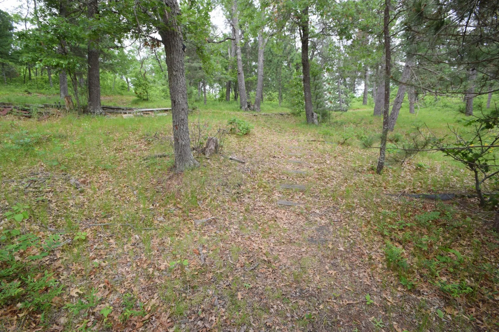 DSC_0143.JPG