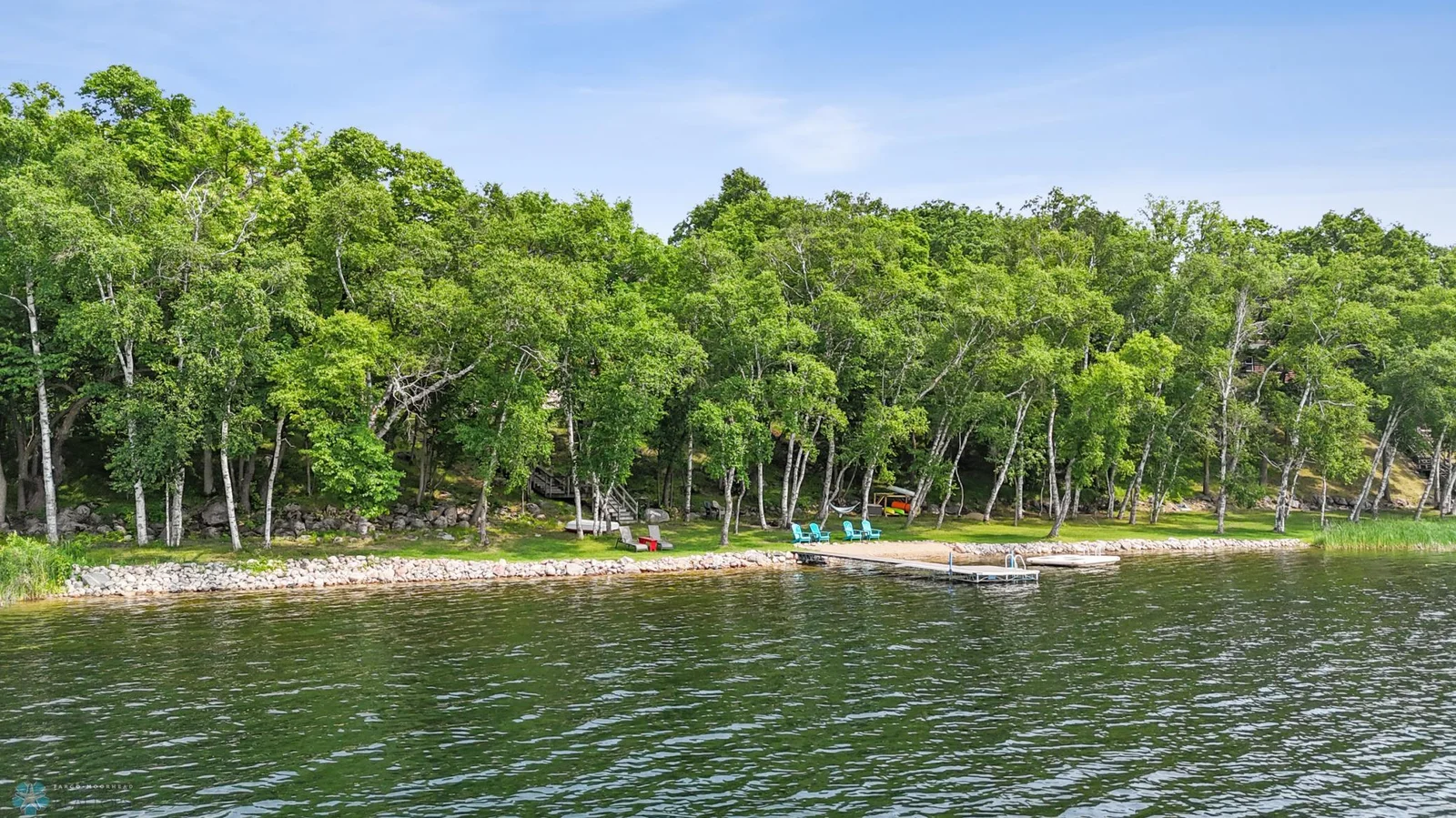 Shoreline view from lake