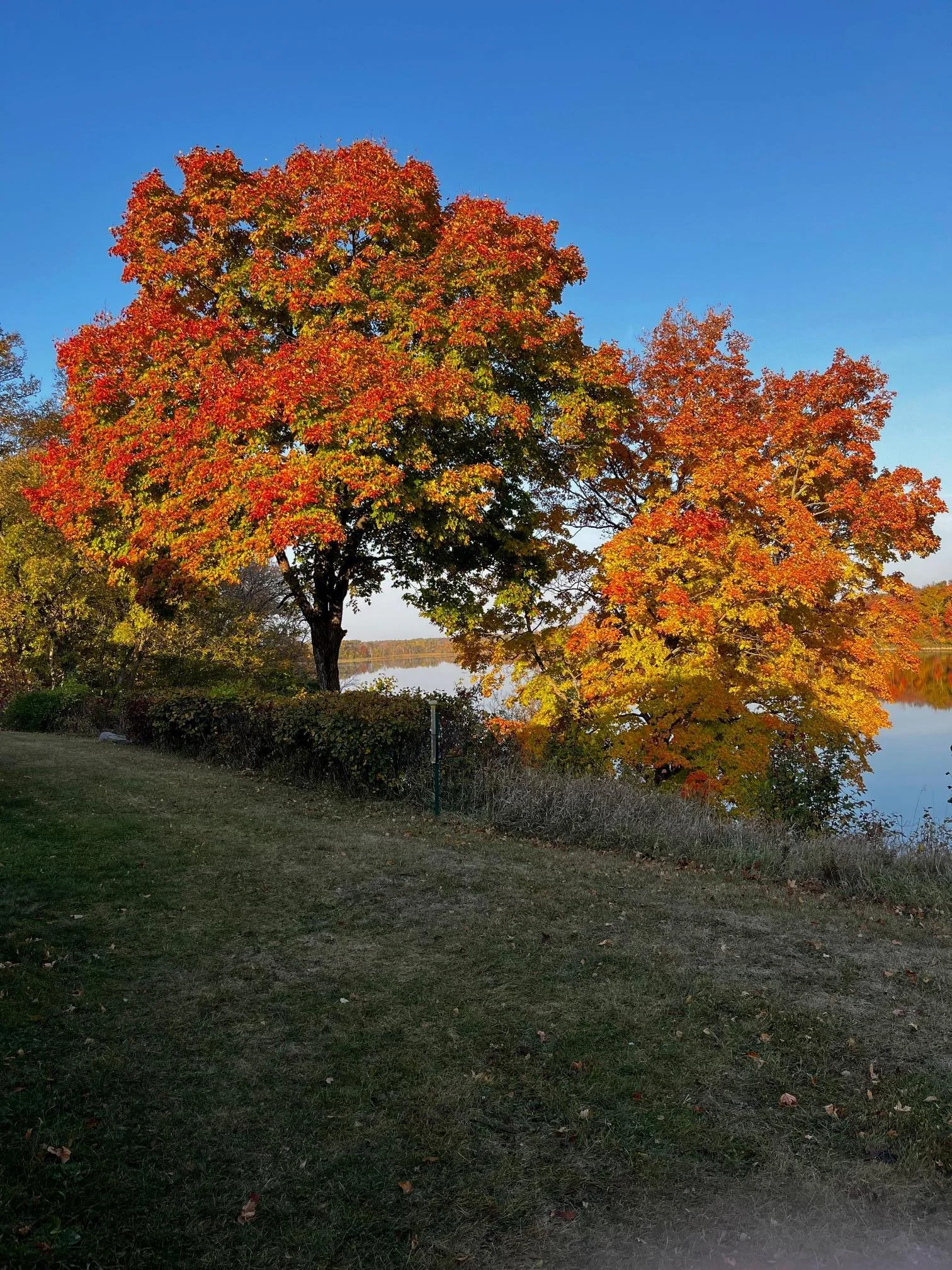 Breathtaking Fall views