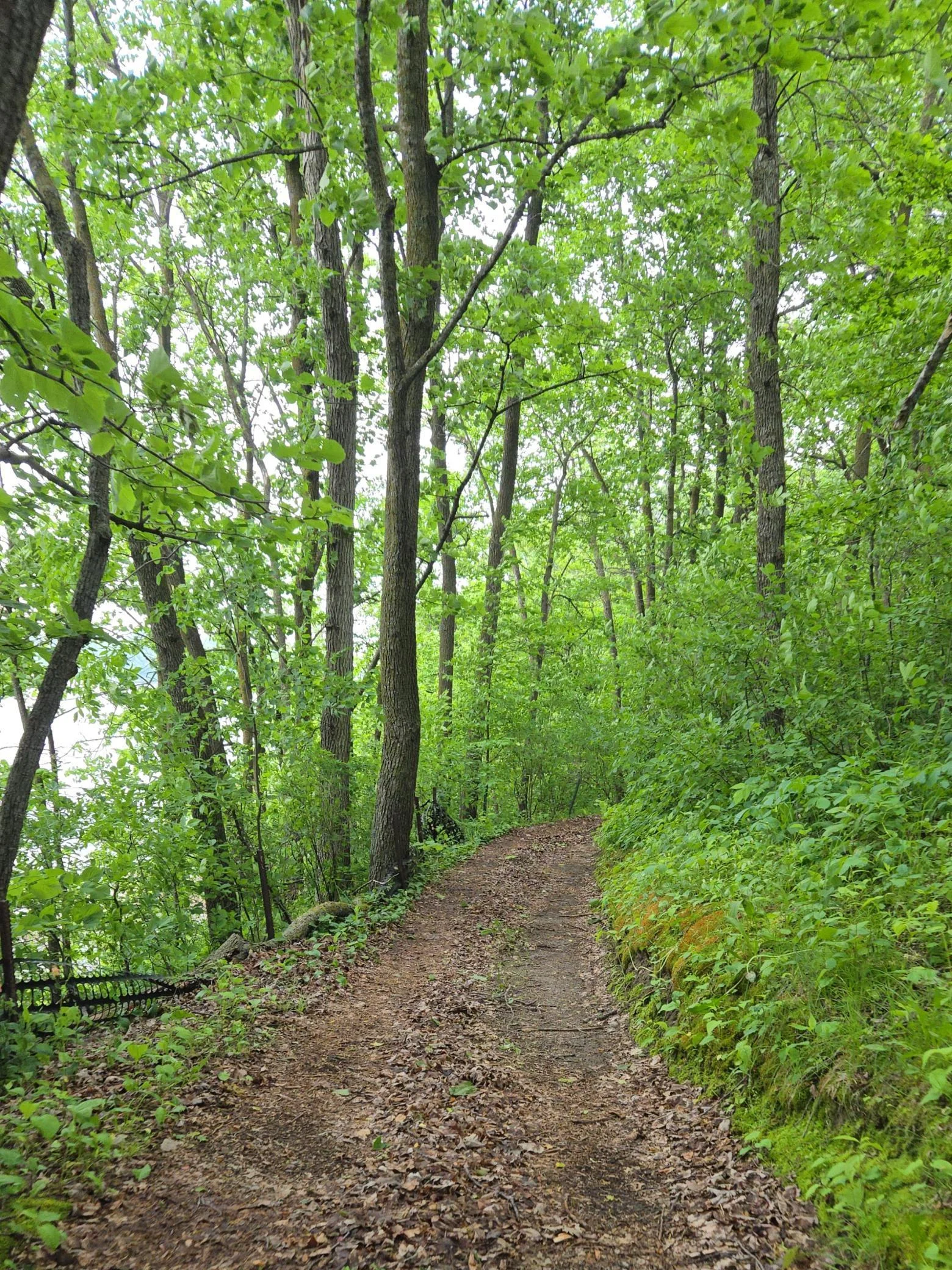 Trail to lake