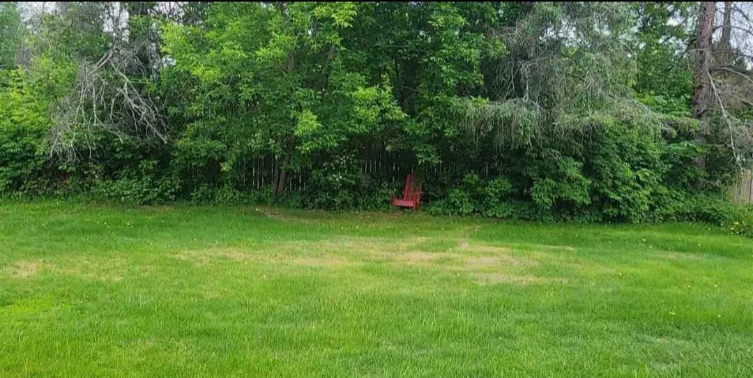 Screenshot_20250610_141844_realtorcom.jpg