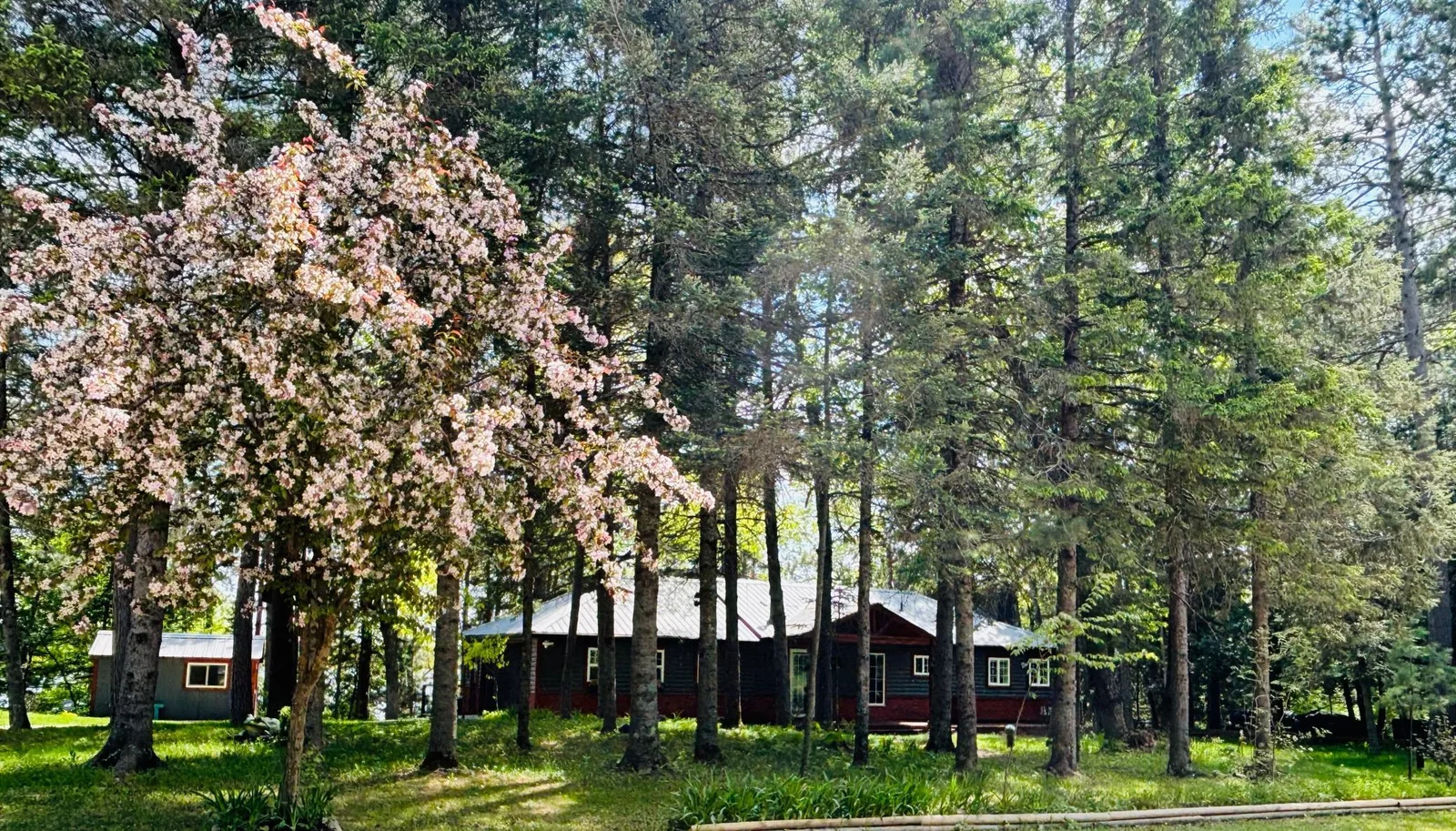 Serene setting w/lots of mature trees providing shade & privacy