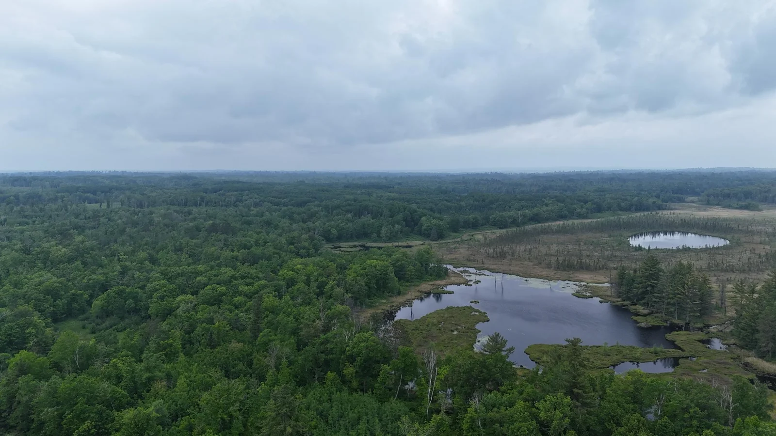 Wetland area is state land next to the section of land across the street