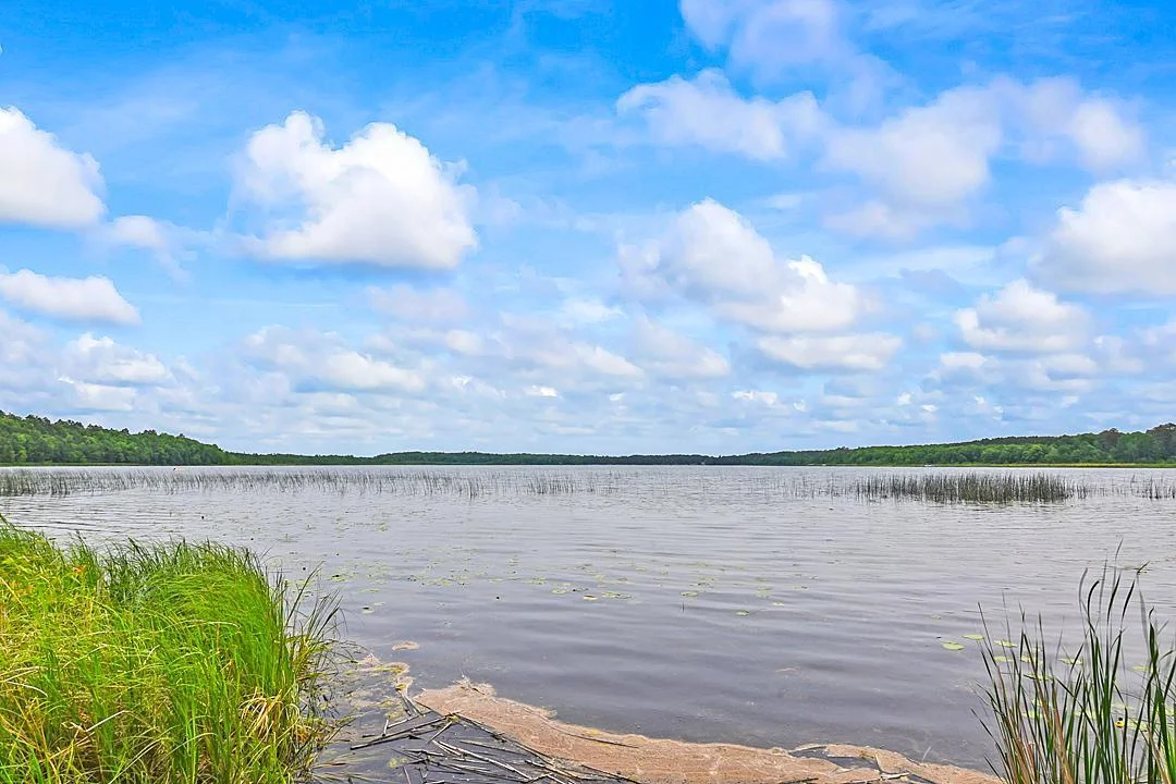 Waters Edge