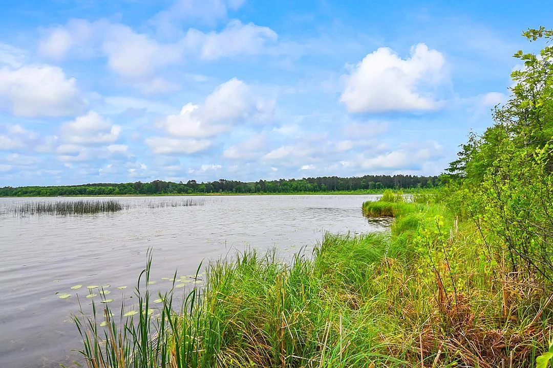 Waters Edge