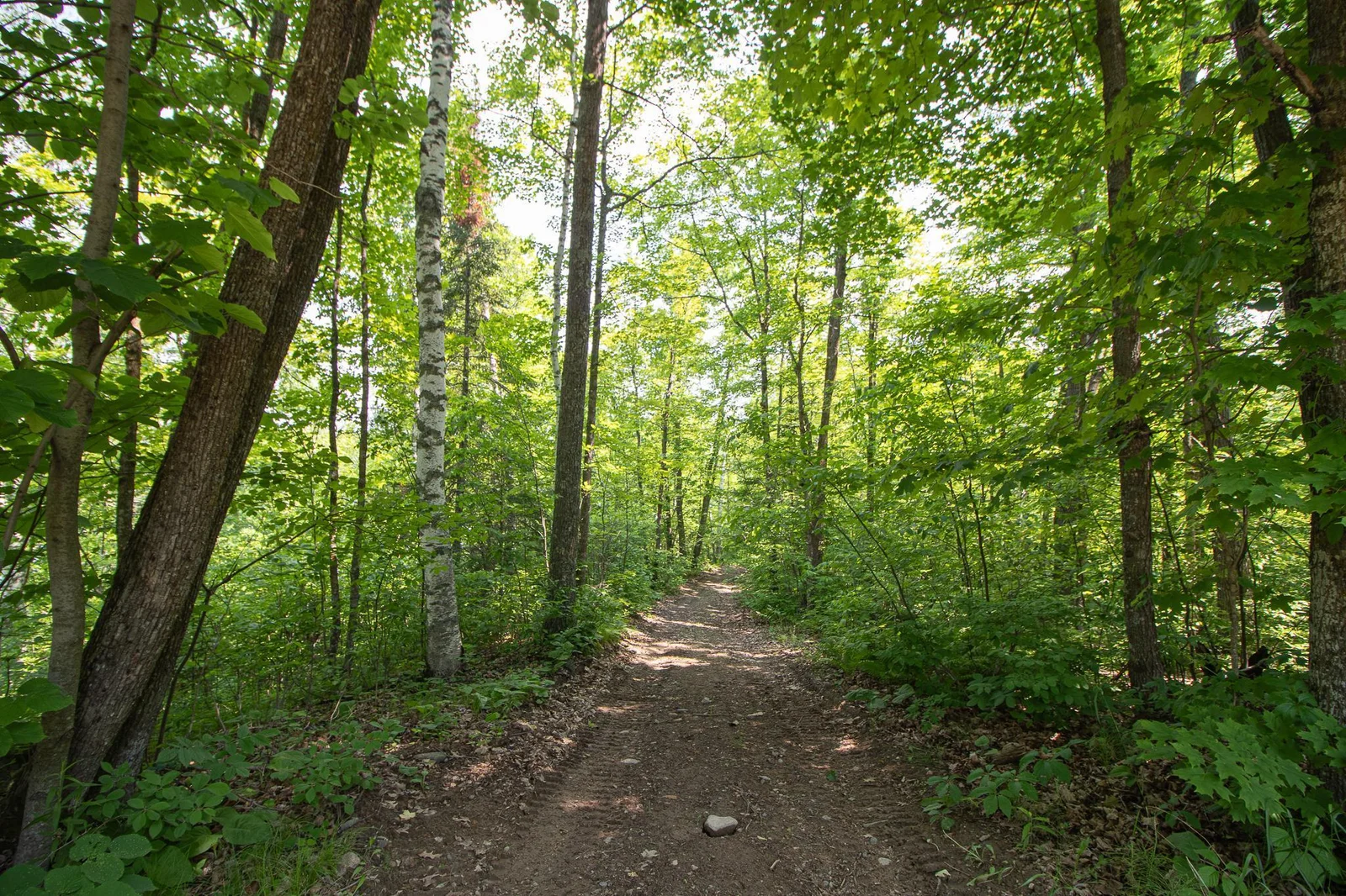 Nice path down to the lake
