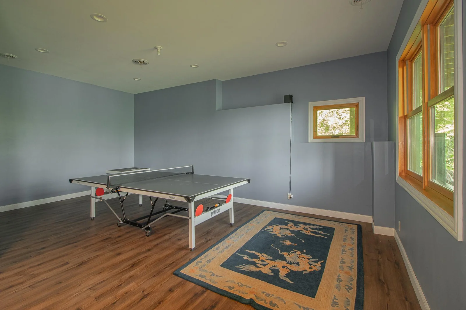 22 x 14 Lower-level Recreation room / Bonus room - also plumbed in for a bar