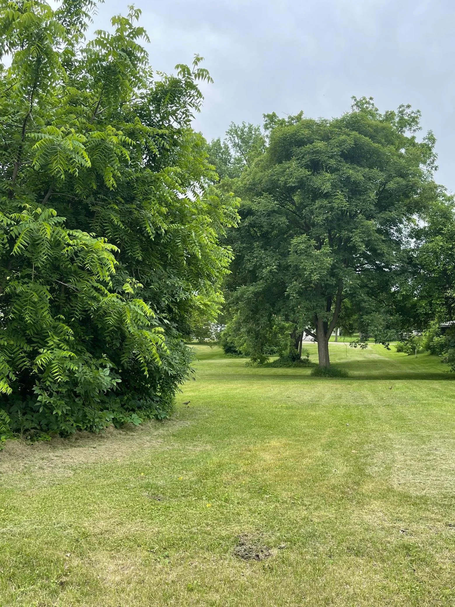 Lake St View