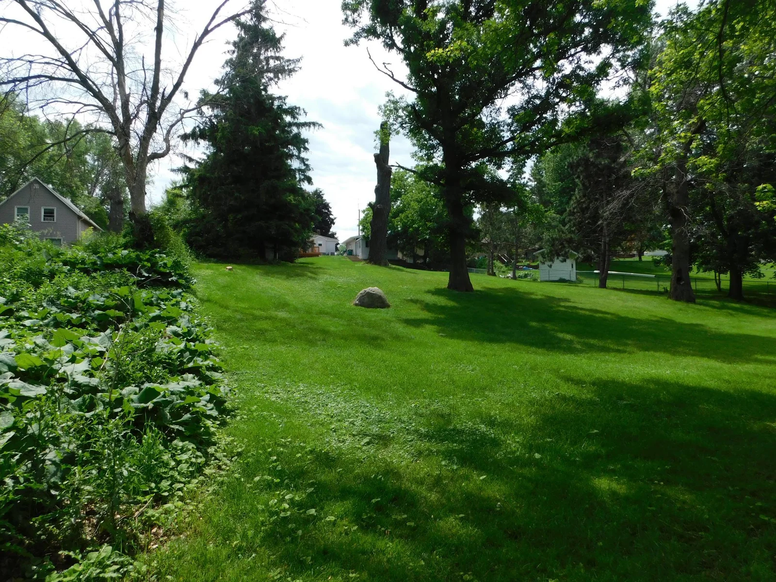 DSCN1046.JPG