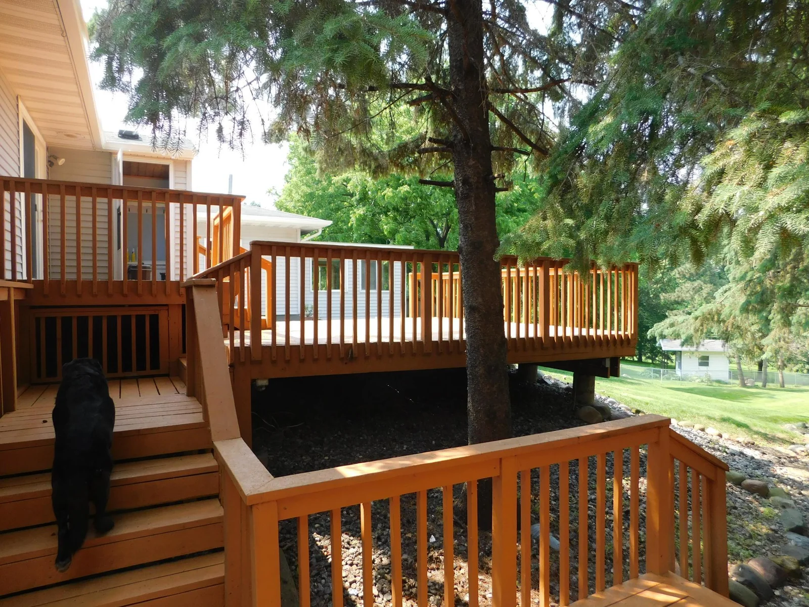 DSCN1020.JPG