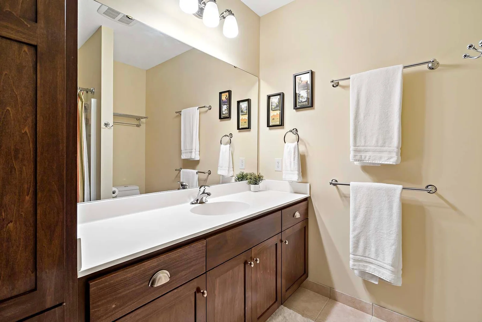 Lower Level Bathroom