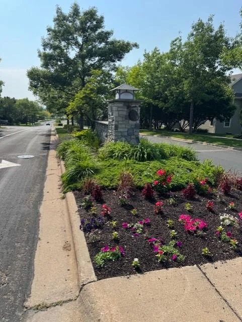 Landscaping Feels Like Florida