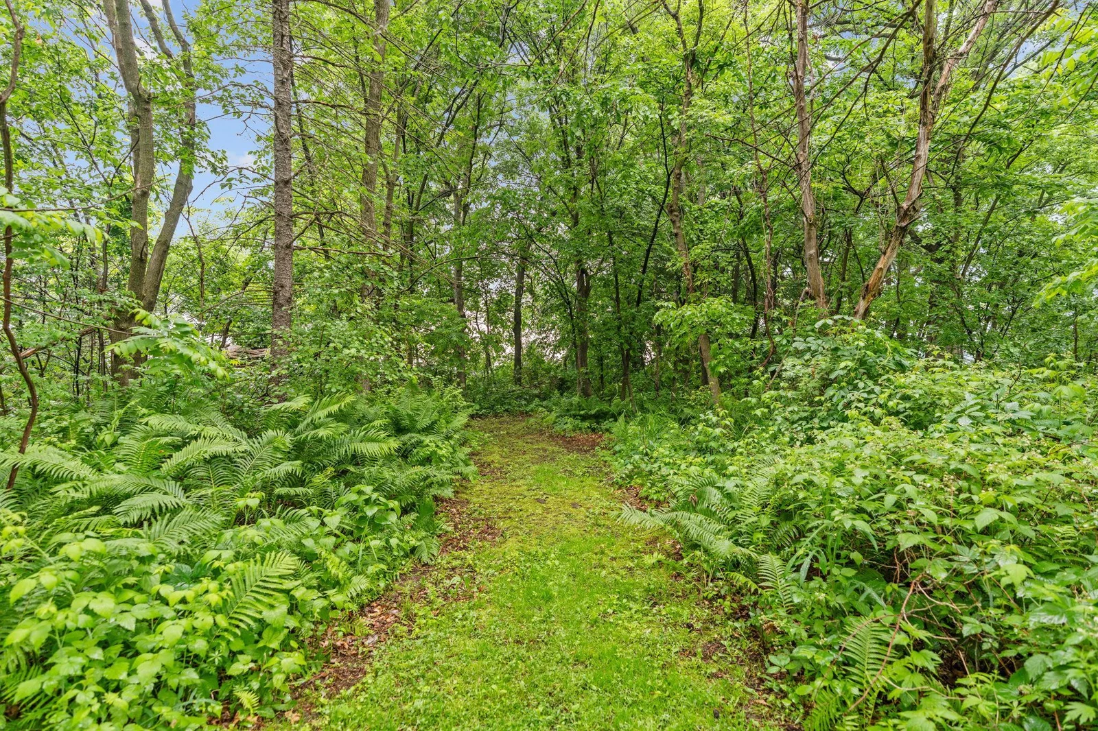 Lots of trails and green space to explore!