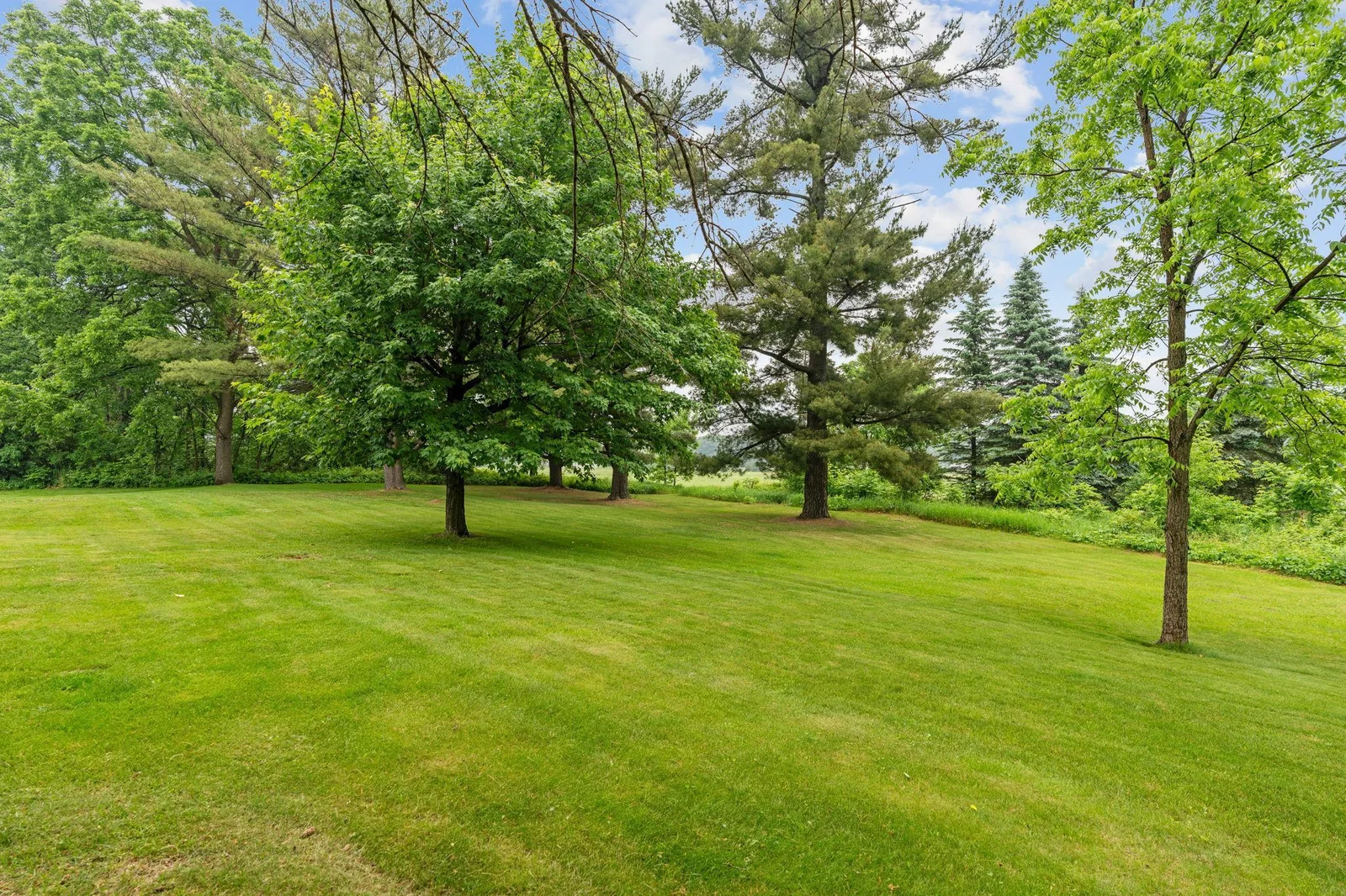 Beautiful green space featuring mature trees.