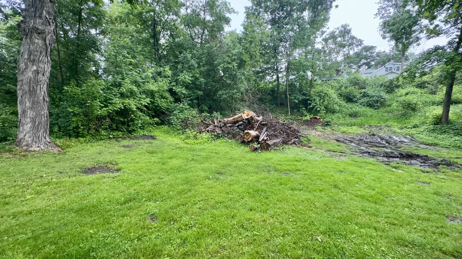 Lots of privacy and room to build