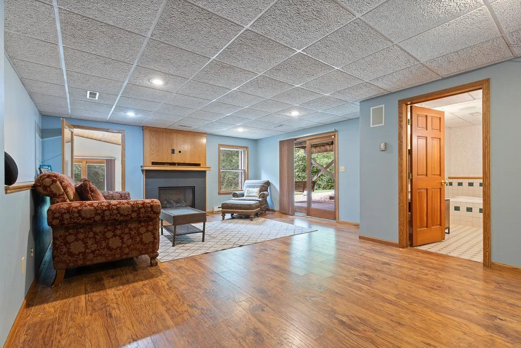 Lower level family room!