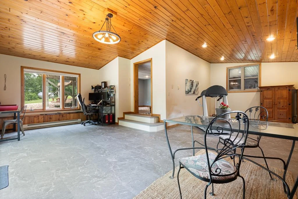 Lower level walkout and family room space! Perfect area for a pool table, bar, workout space, and so much more!