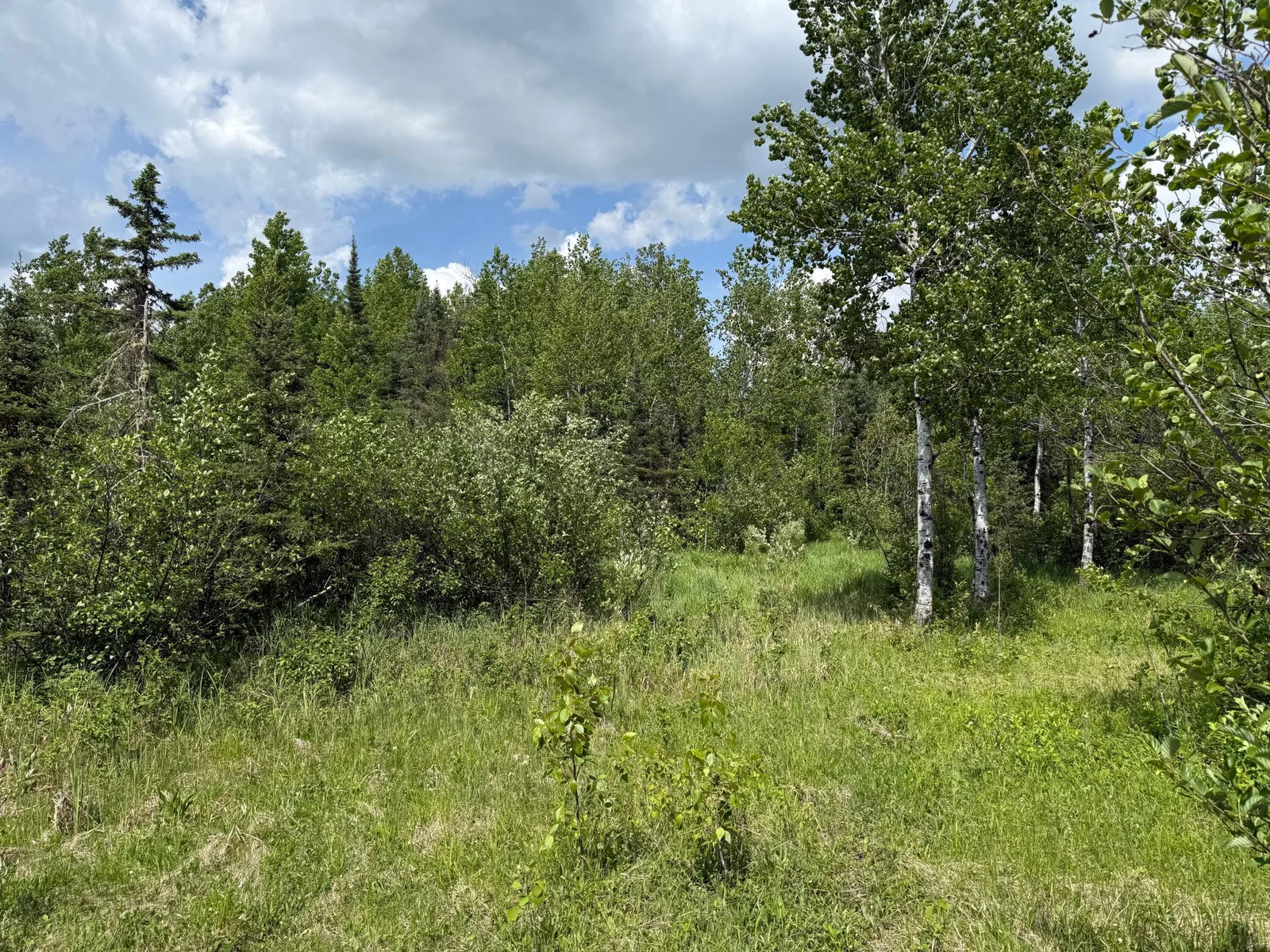IMG_1340 copy.jpg