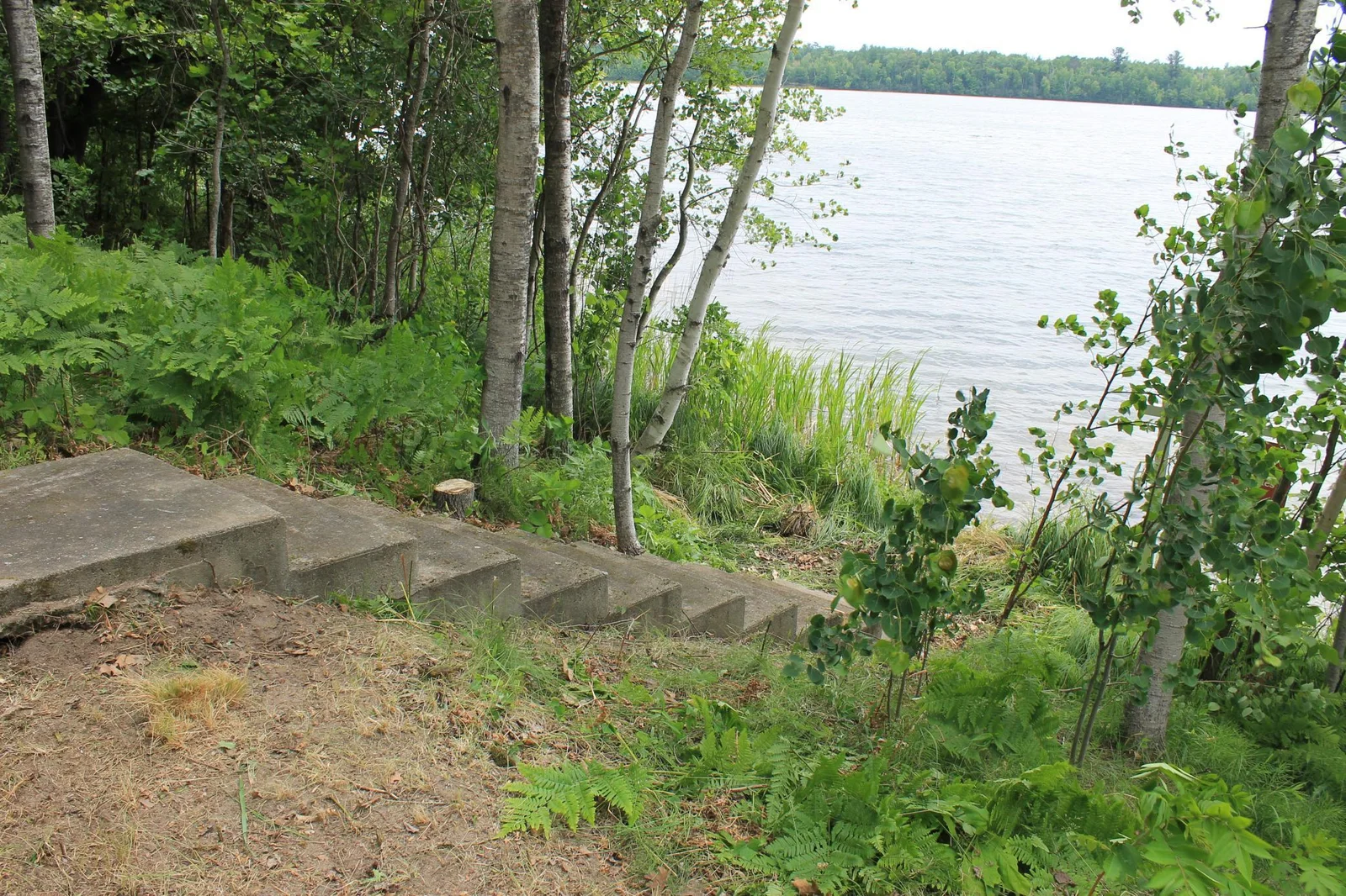 IMG_4000.JPG