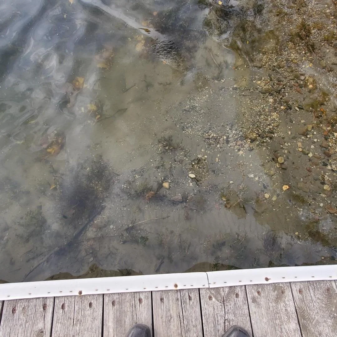 Hard Bottom, Clear water