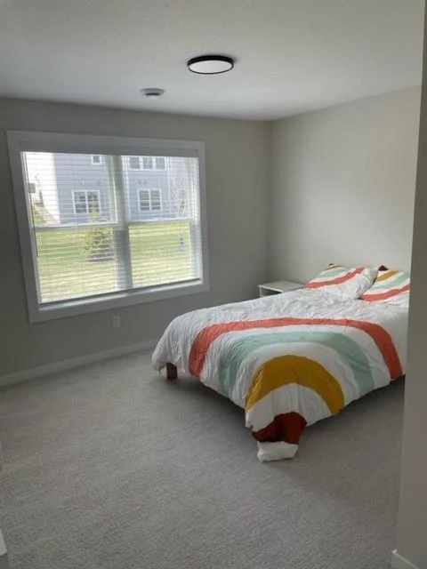 Lower Level Bedroom.jpg