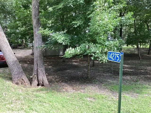 view  from the road