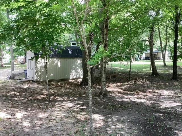 Wooded area --more parking area