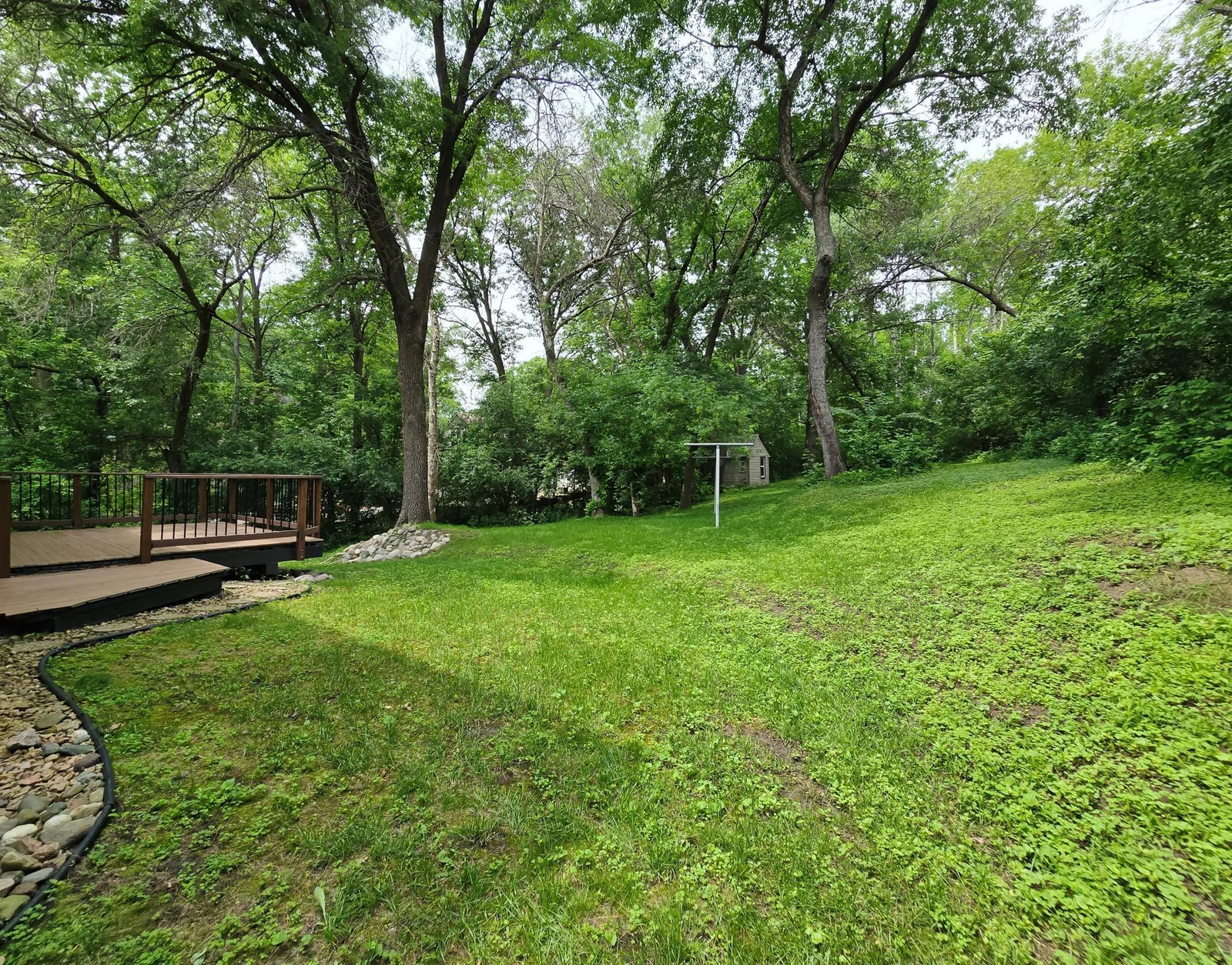 Back yard 1