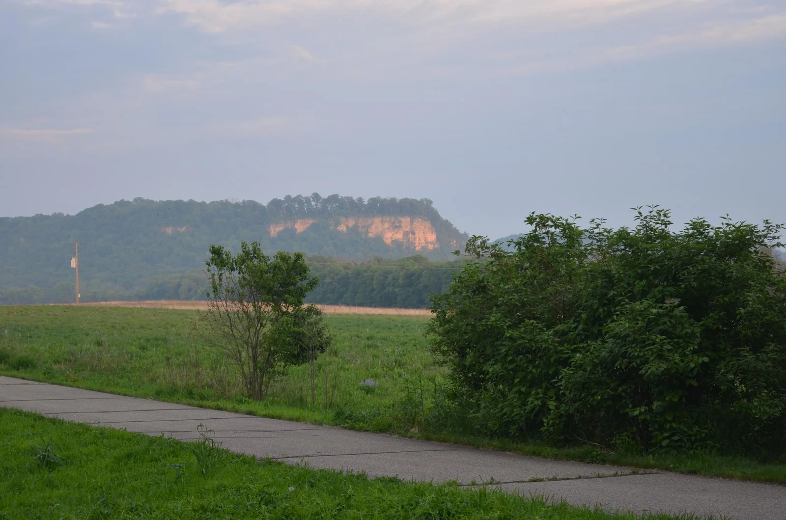 View of Rattlesnake Bluff from Trail