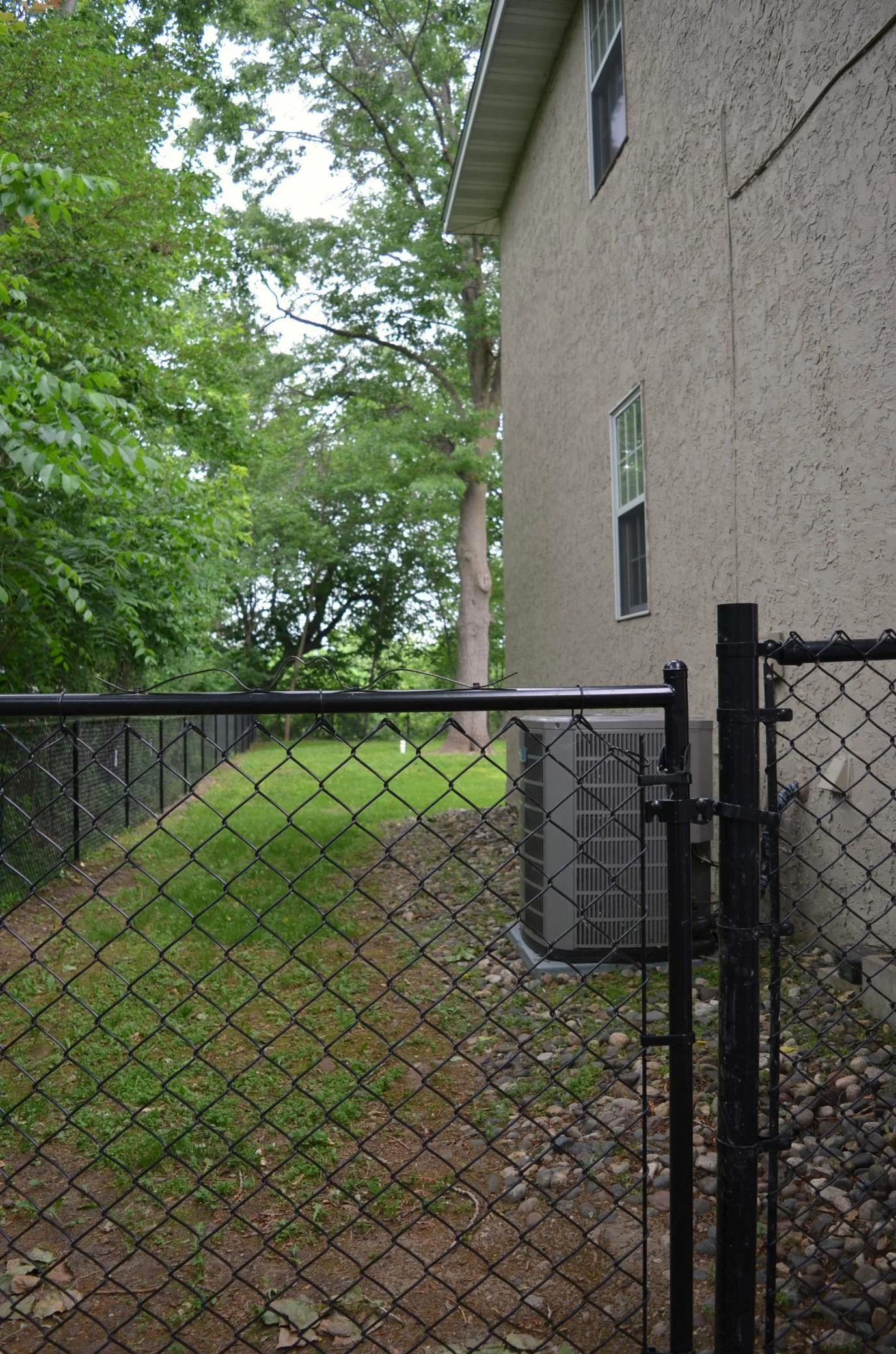 Side yard.JPG