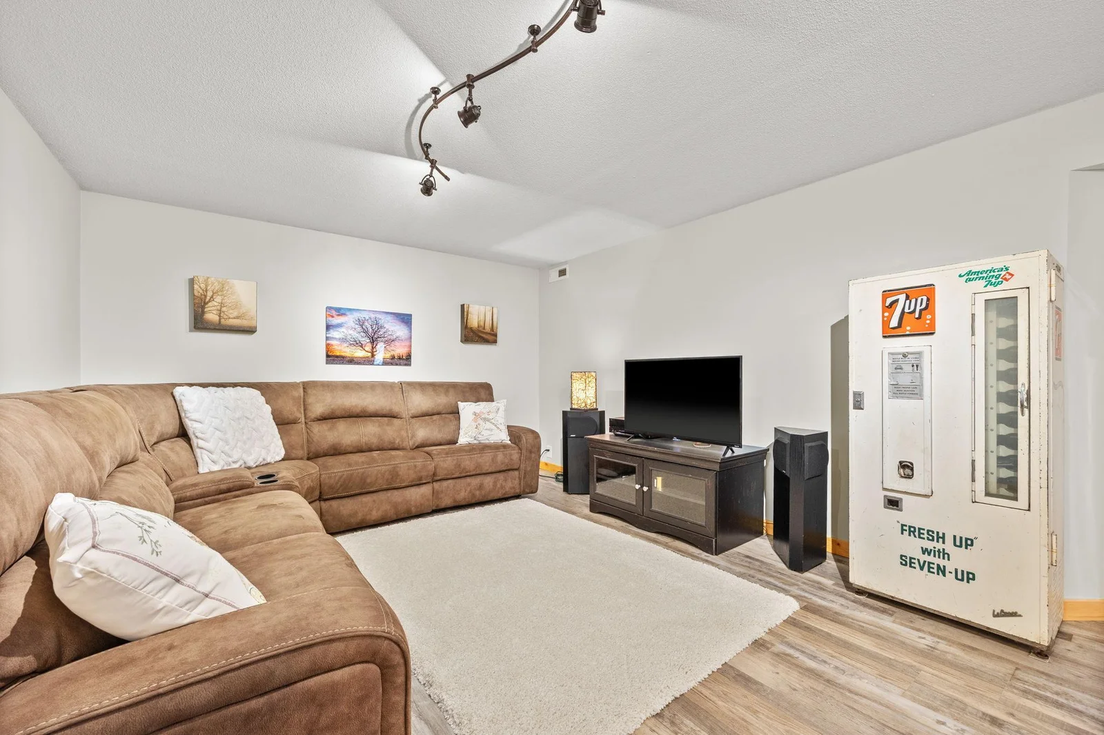 Lower Level Living Room