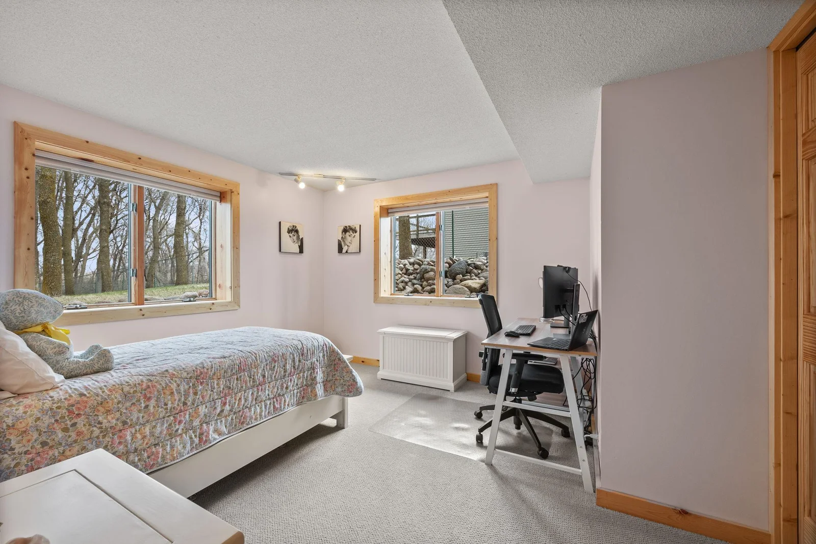 Lower Level Living Room