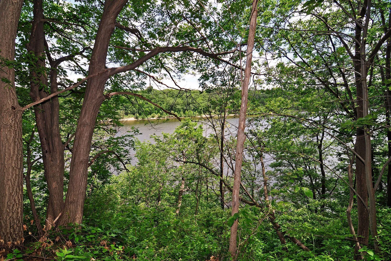 Thumbnail photo 36