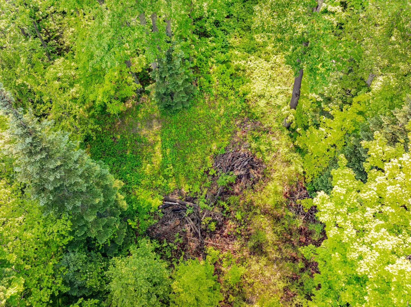 Beautiful land