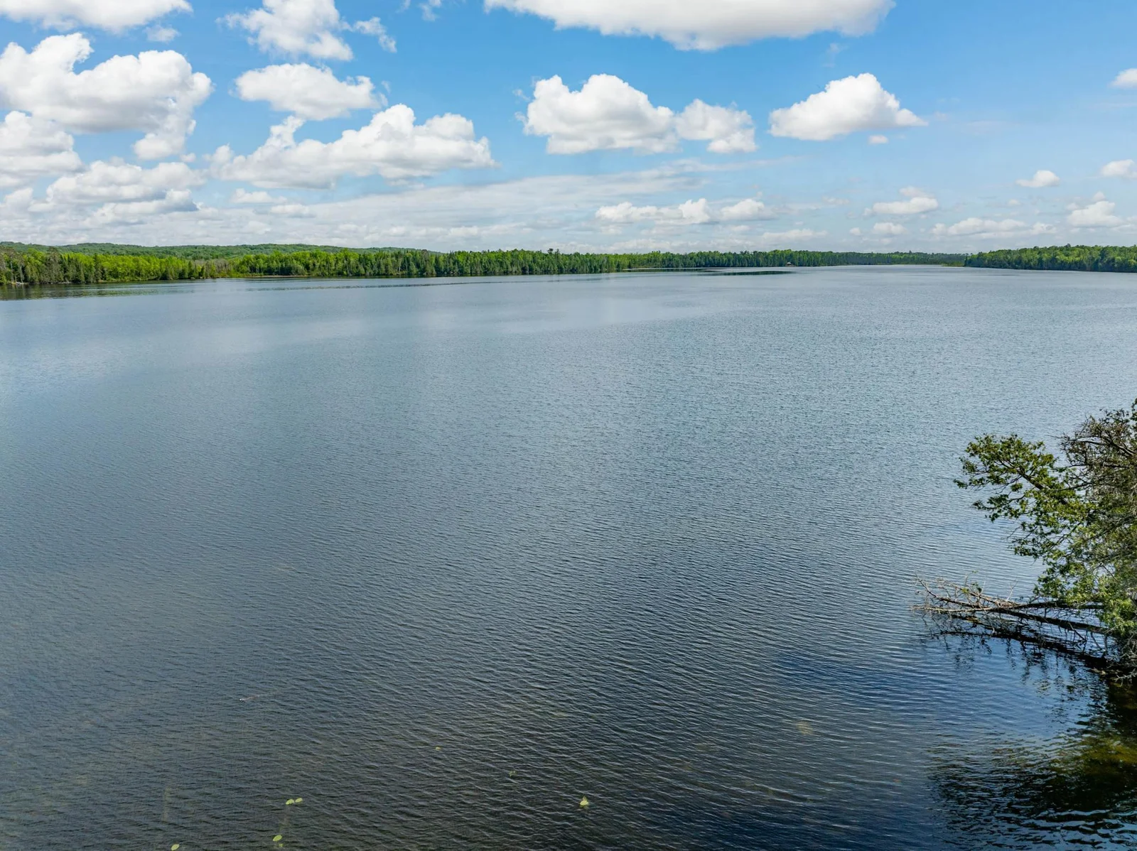 Willow Lake